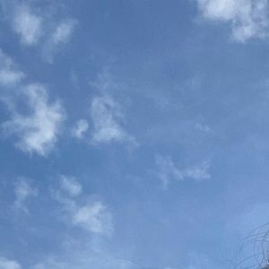 Meet your Posher, Allie